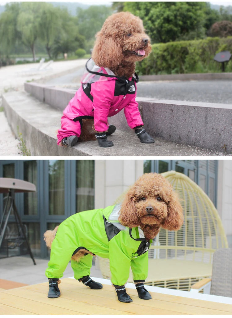 Proteção Impermeável para seu Pet! 🐾 Capa de Chuva The Dog Face