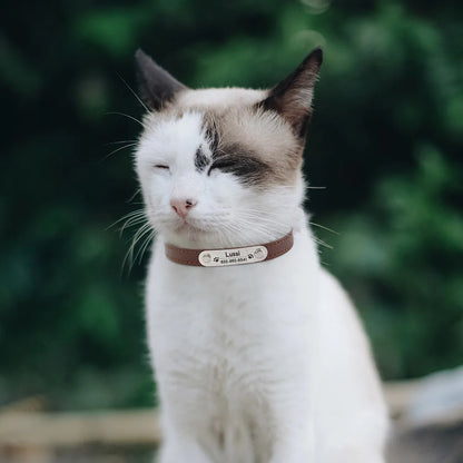 Coleira Personalizada para Cães e Gatos, com Nome e ID, Antiperda, em Couro PU